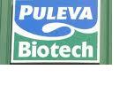 analisis Festín en los chicharros(VII) Análisis Puleva Biotech por David Galán